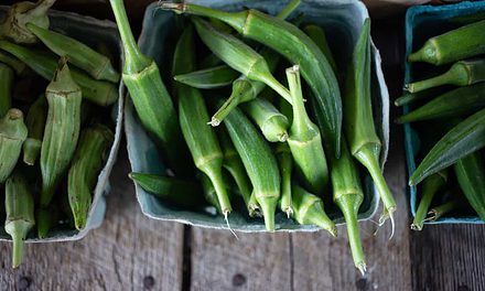 Grilled Okra