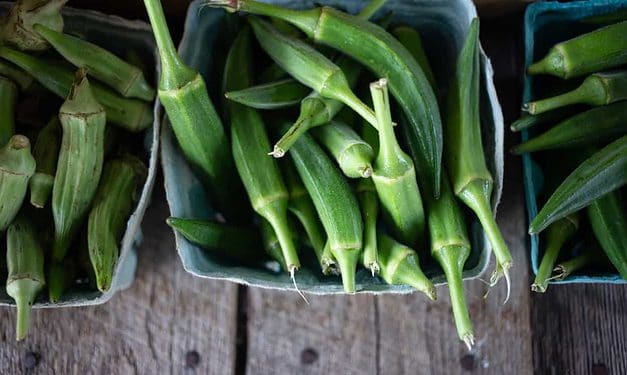 Grilled Okra