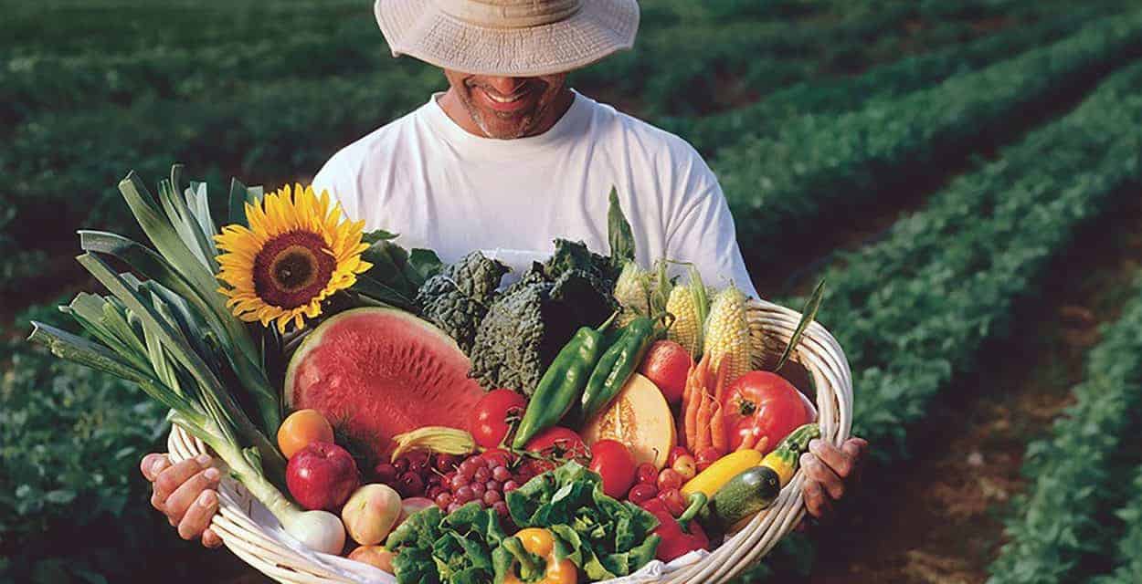 New Mexico Farmers Markets