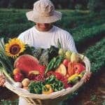 New Mexico Farmers Markets