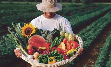 New Mexico Farmers Markets