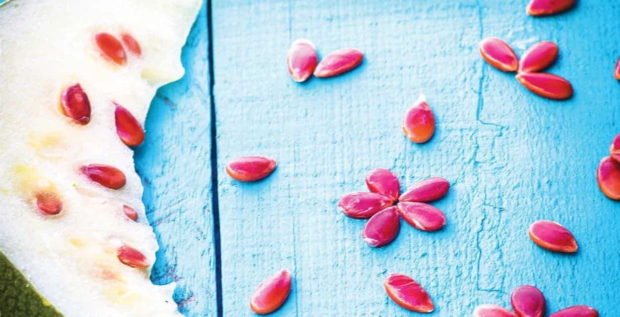 Late Winter: Food as Art