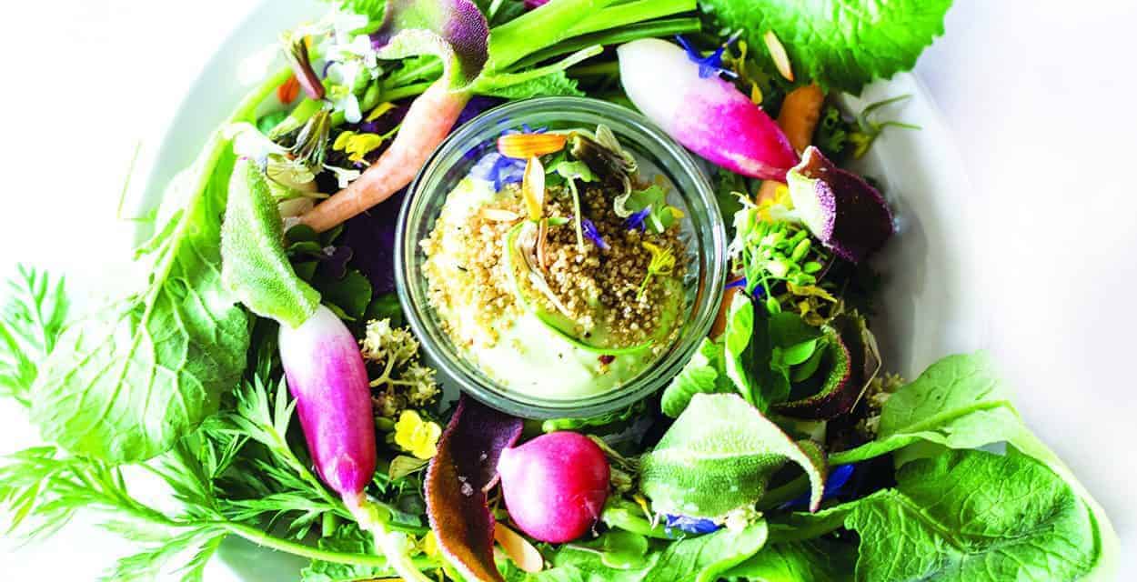 Inspiration from the Garden