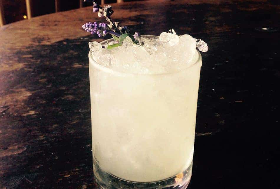 Lavender Bee’s Knees Cocktail