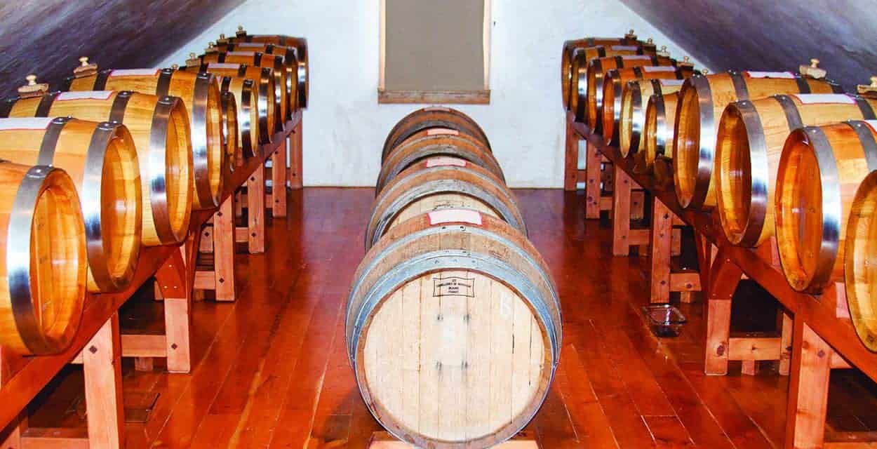 A Taste of Love and Laughter: Aceto Balsamico of Monticello