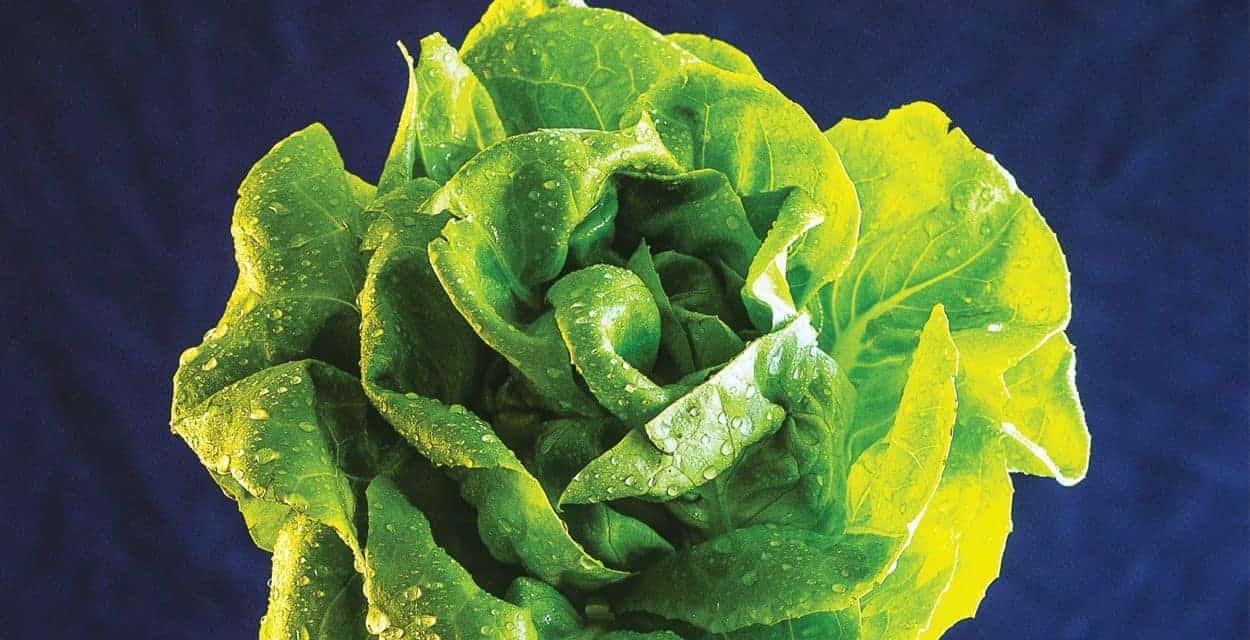 Spring Issue: Hidden Treasures