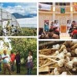Best Organization, Farm to Table