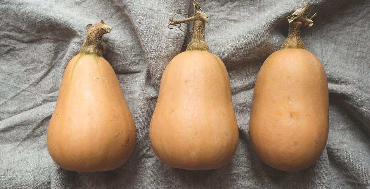 Warm up to Butternut Squash
