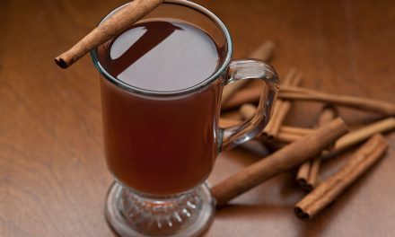 Thanksgiving Toddy