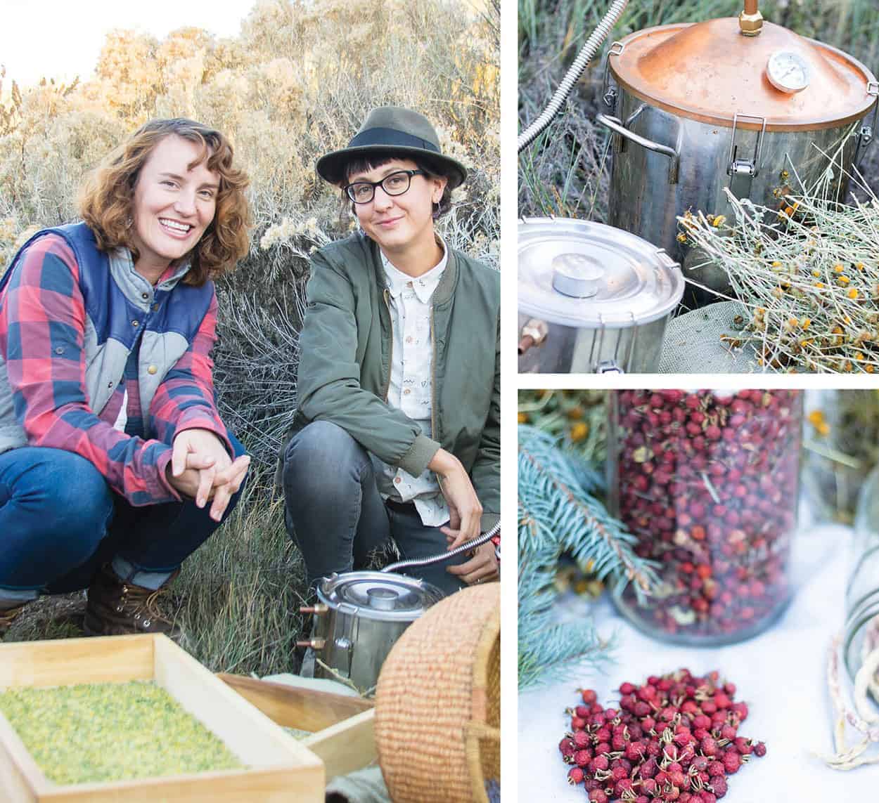 Foraging: Acorn Abundance - Edible New Mexico