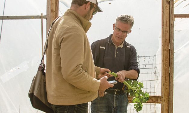 Resourcefulness Provides Purpose for Ironwood Farm