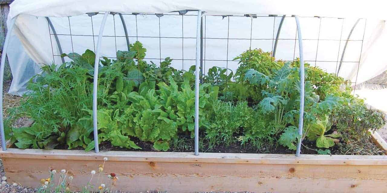 Fail-Safe Gardening
