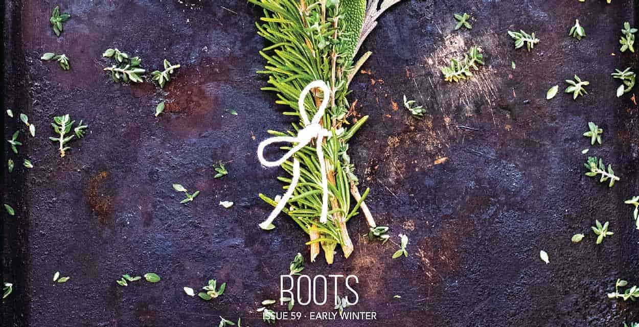 Early Winter 2018: Roots
