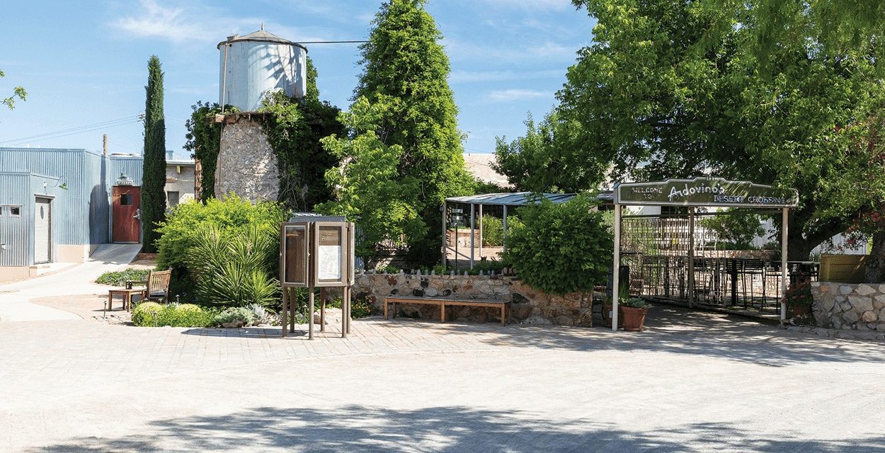 Discovering Ardovino’s Desert Crossing