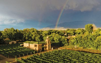 Casa Rondeña Winery