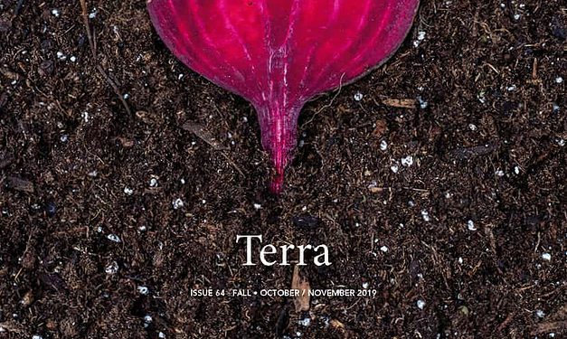 Fall 2019: Terra