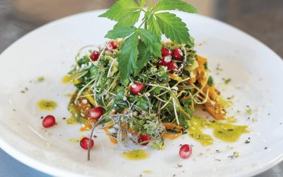 Hemp Harvest Salad