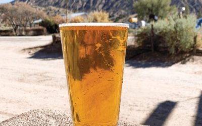 Eight Around the State: Craft Brews