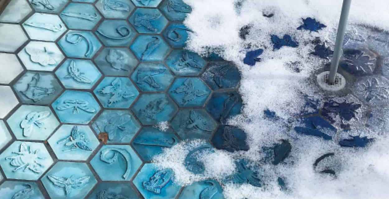 Creative Pollination