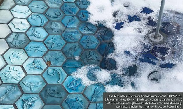 Creative Pollination