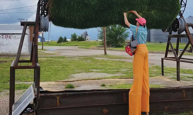 Eating at Edible Carnival