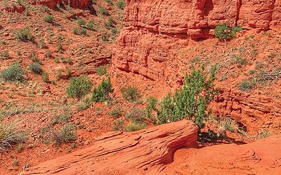 Corn, Soil, Tomorrow