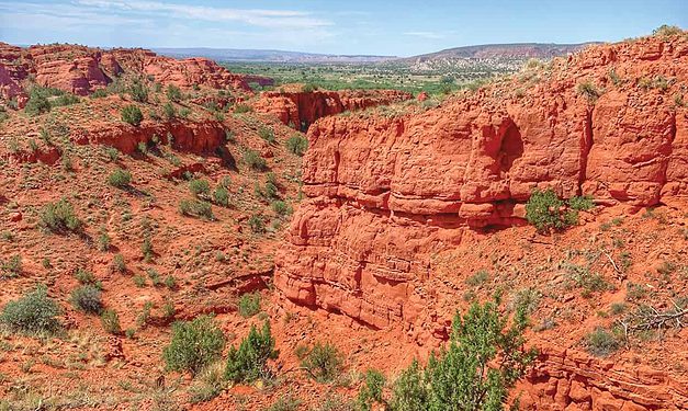 Corn, Soil, Tomorrow