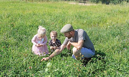 Peculiar Farms