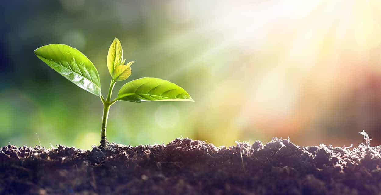 A Letter to Our Community