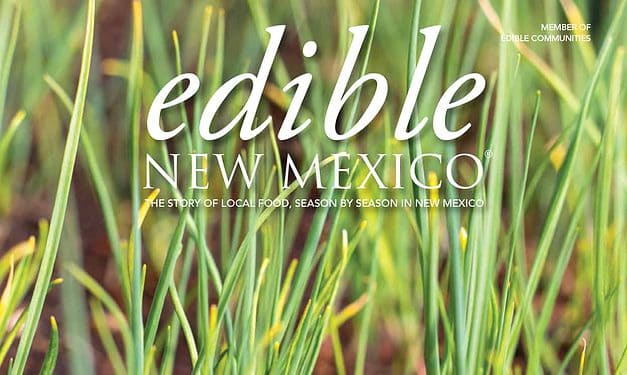 Spring 2020: New and Next