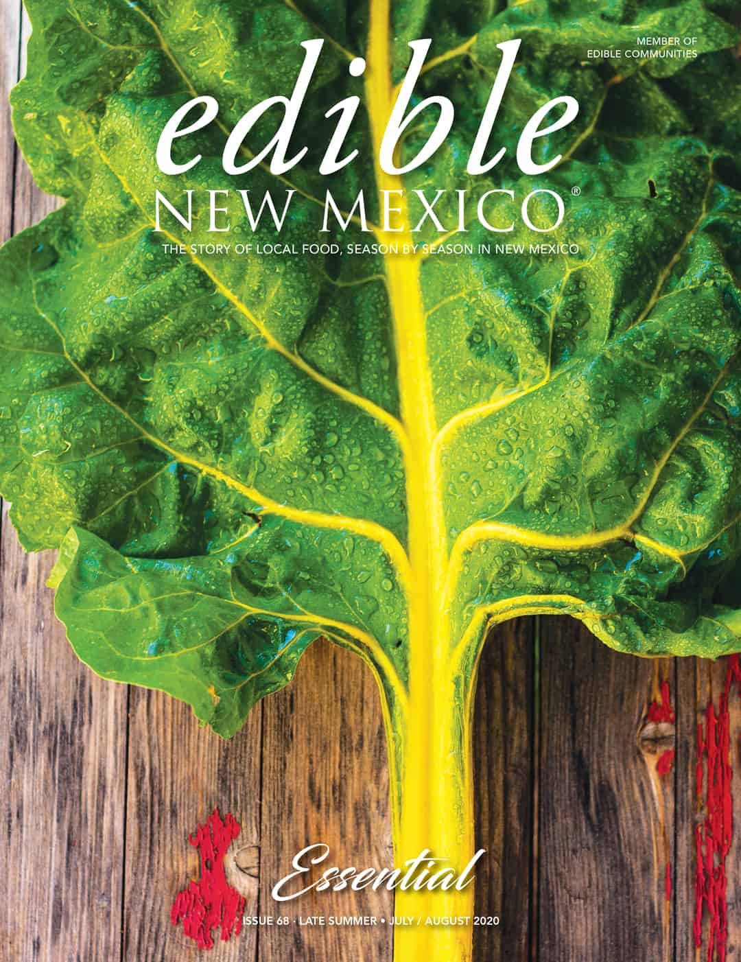Taste of Clay - Edible New Mexico