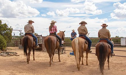 Cowboy Up!