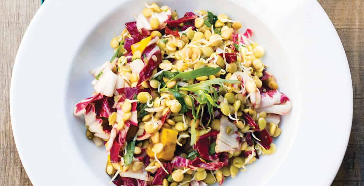 Sprouted Lentils and Golden Beet Salad