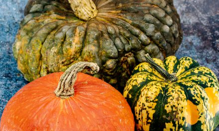 A Guide to Winter Squash