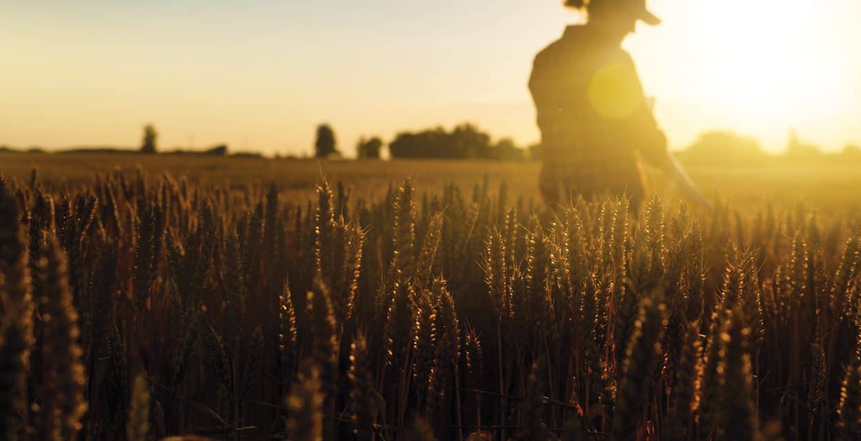 Farmworker Health Here at Home