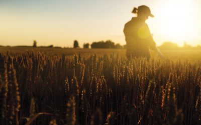 Farmworker Health Here at Home