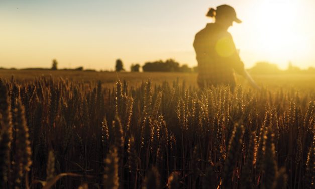 Farmworker Health Here at Home