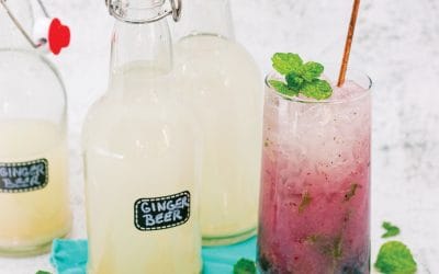 DIY Ginger Beer and Berry Mocktail