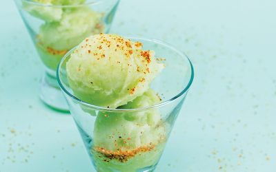 Tomatillo and Melon Sorbet