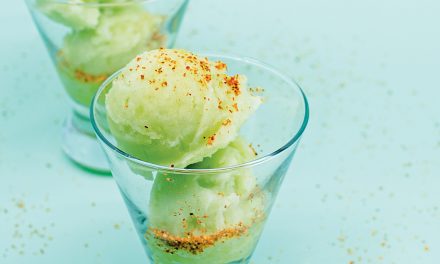 Tomatillo and Melon Sorbet