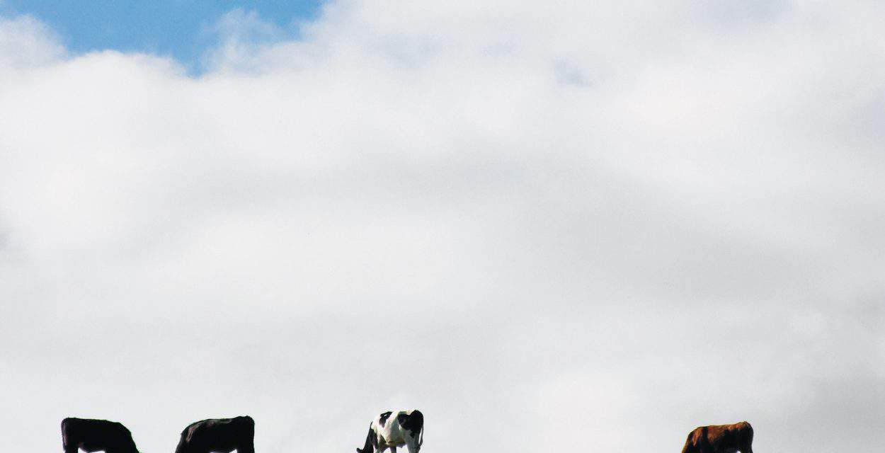 The World’s Stratospheric Food Problem