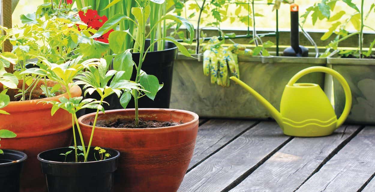 Adaptable Ambience with Garden Containers