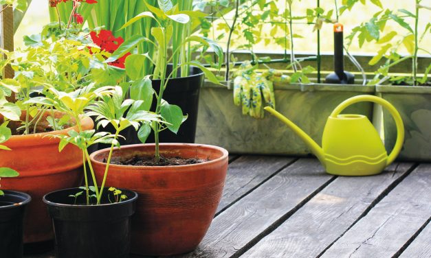 Adaptable Ambience with Garden Containers