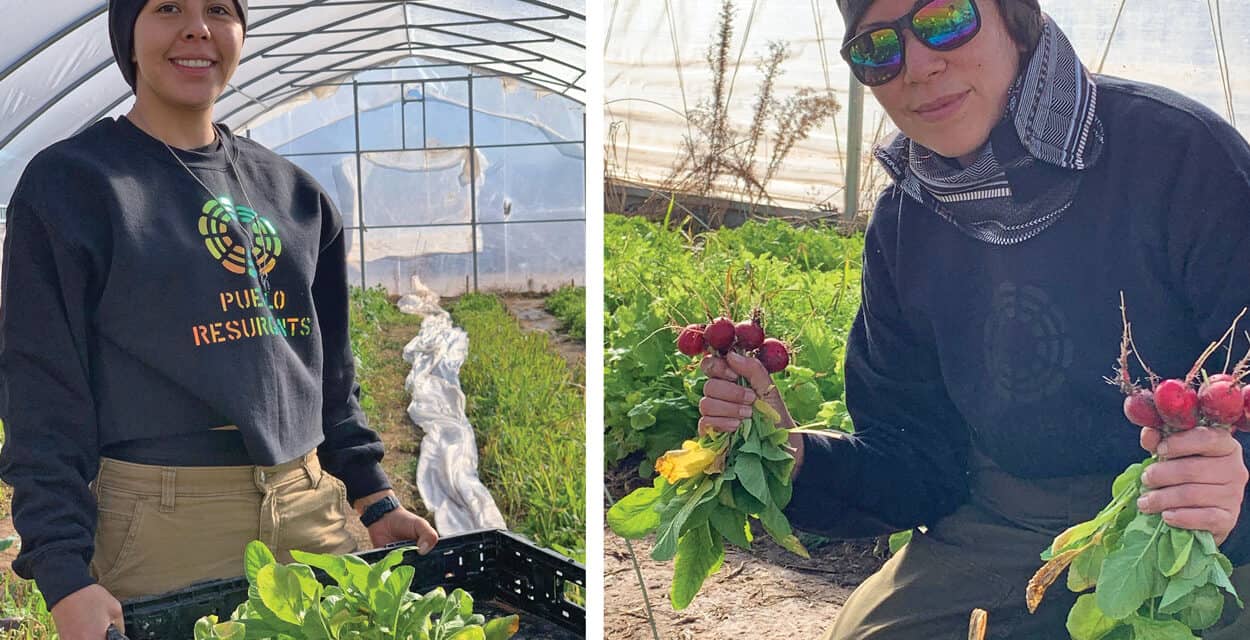 The Kinship of Local Food
