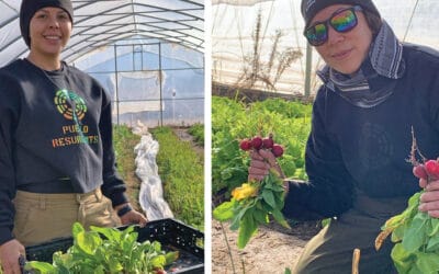 The Kinship of Local Food