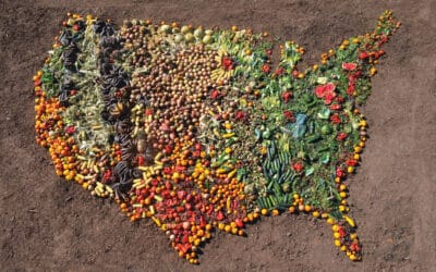 Breaking Down: What Does Food Waste Look Like?