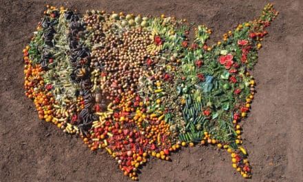 Breaking Down: What Does Food Waste Look Like?
