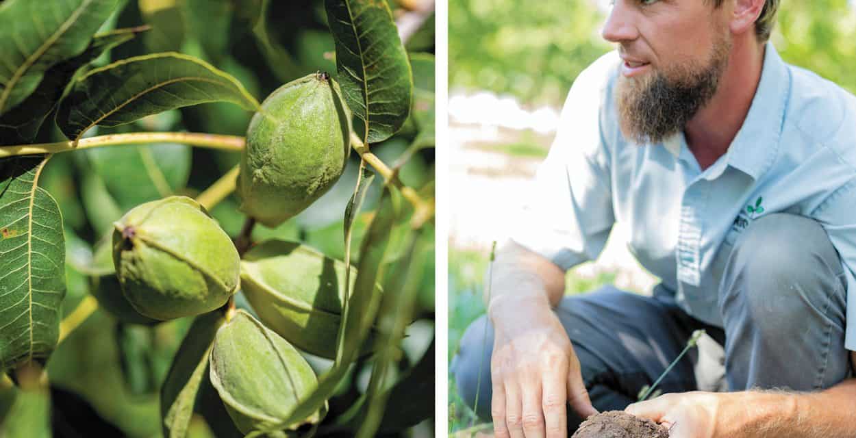 Growing the Soil of Southern New Mexico