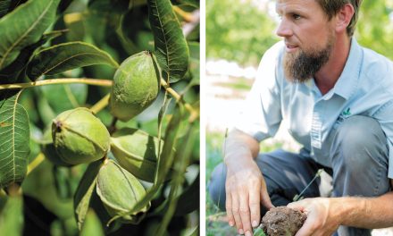 Growing the Soil of Southern New Mexico