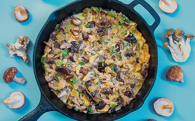 Mushroom Ragu